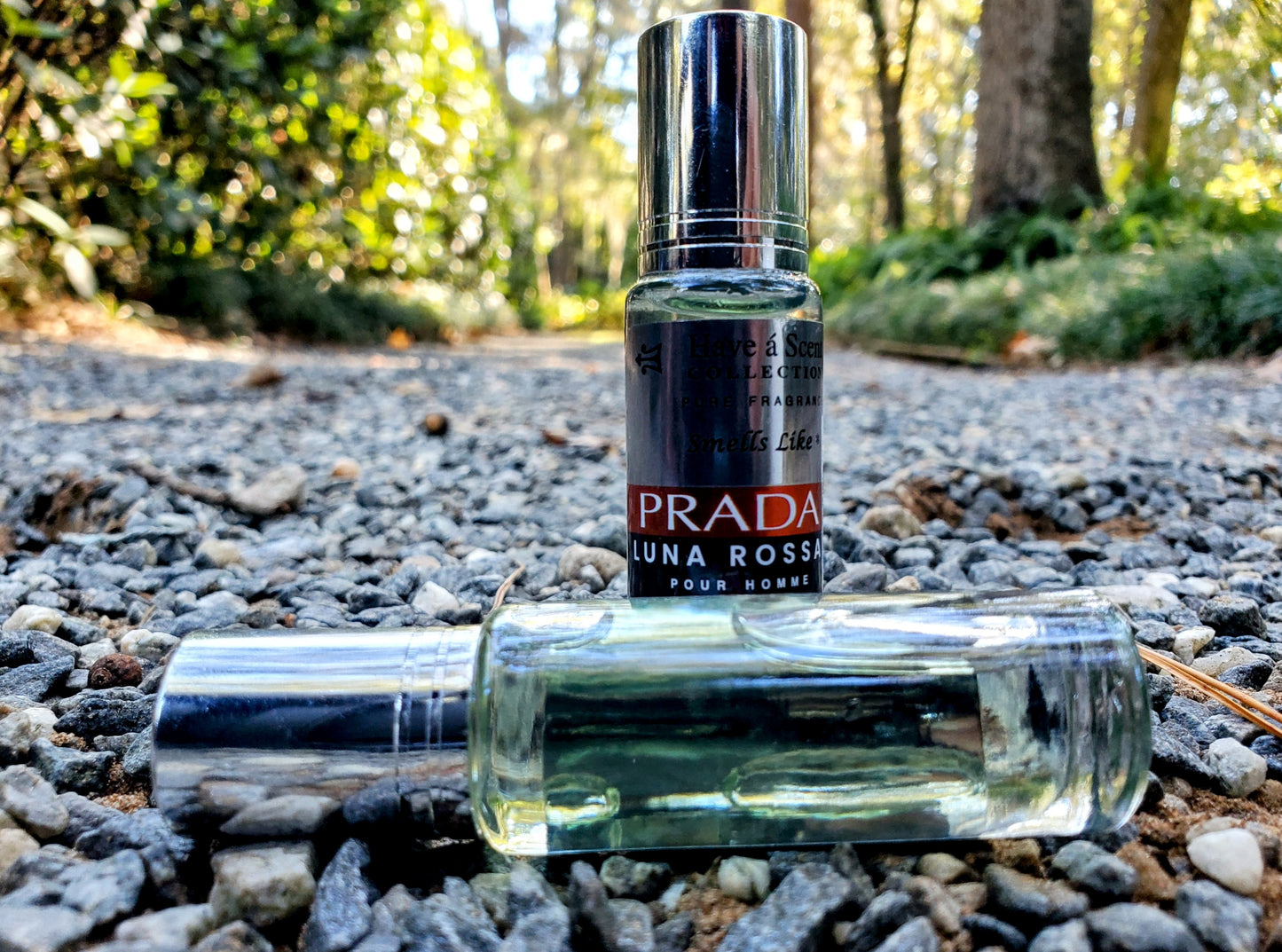 Prada Luna Rossa (M)